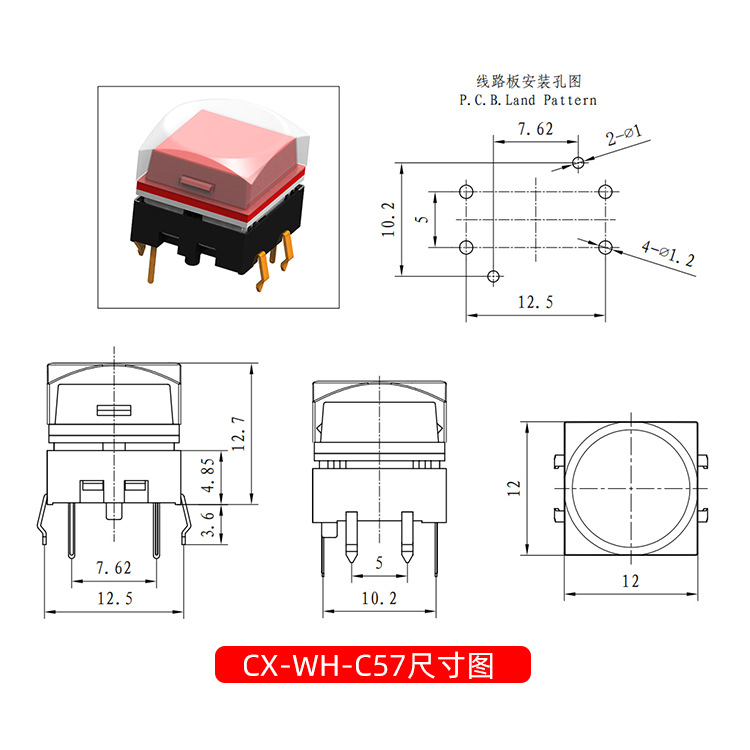 12x12 라이트터치 스위치 CX-WH-C57 다이렉터 6발 LED 버튼 셀프 리셋 버튼 스위치 [ZSE013-006]