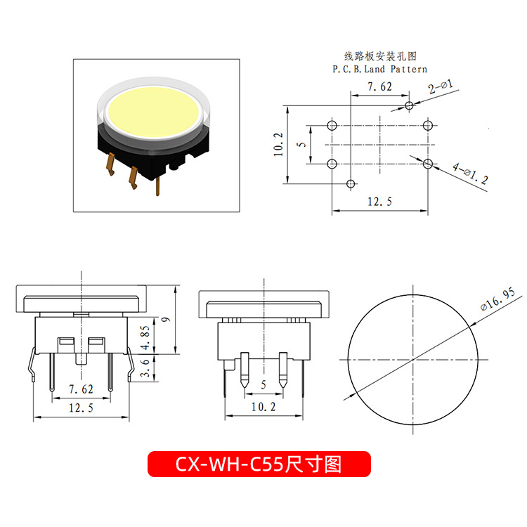 12x12 원형 램프 버튼 CX-WH-C55 스트레이트 6각 셀프 리셋 버튼 램프 택트 스위치 [ZSE013-010]